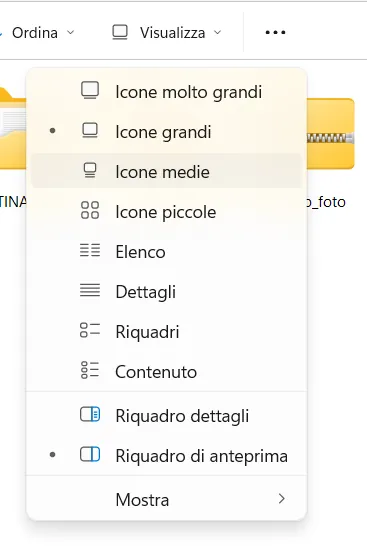 Menu Visualizza aperto con l'elenco delle viste