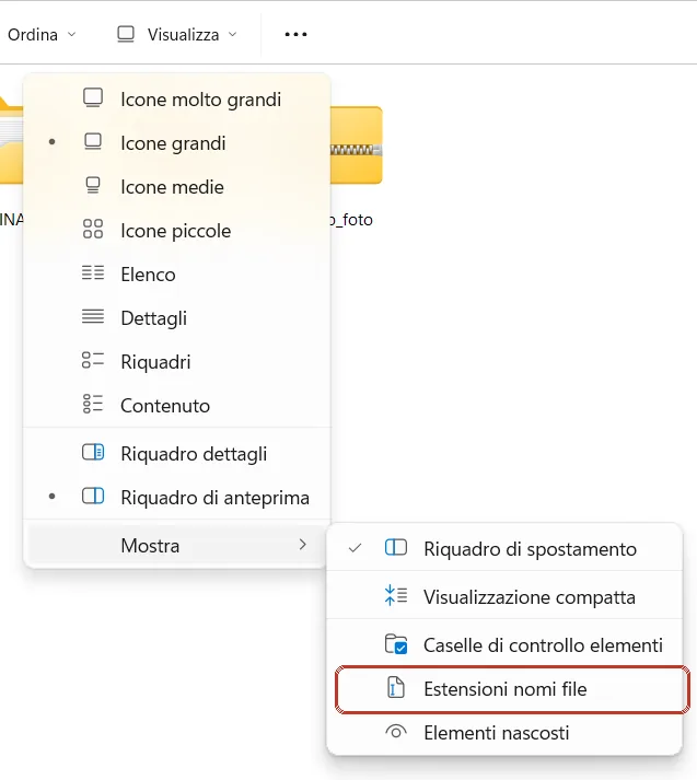 Menu Visualizza, Mostra: Estensioni nomi file senza spunta