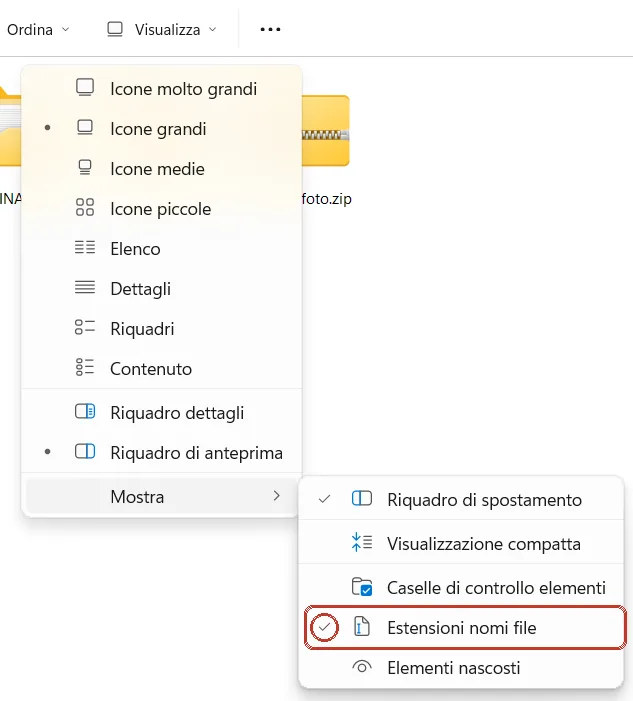 Menu Visualizza, Mostra: Estensioni nomi file con la spunta